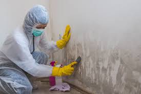 Best Forensic Mold Investigation  in Ferndale, CA